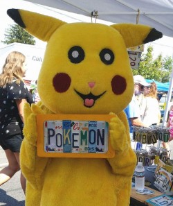 Pokemon license plate sign