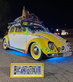 VW license plate art