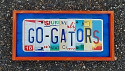 Go Gators license plate art