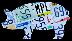 Pig